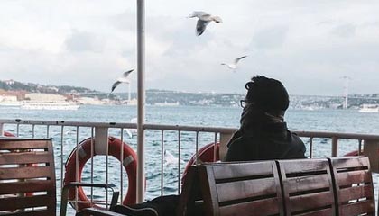 名人 故事(我们能从中学习什么)