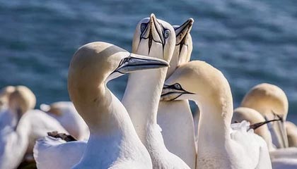 鼓励自己学习的话(是想成为更好的自己吗)