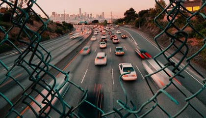 七星瓢虫的生活习性(它们聚集在一起是为了什么呢)