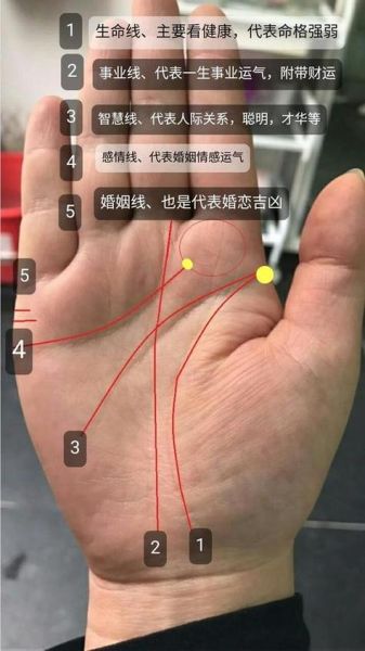 男人的手相(你的爱情运势吗)