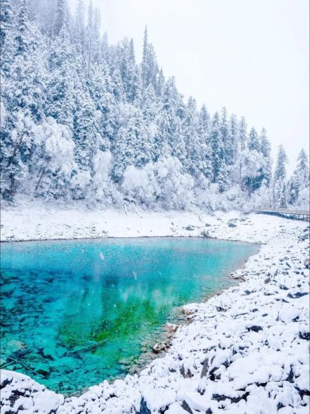 成都 九寨沟(坐动车还是自驾游)
