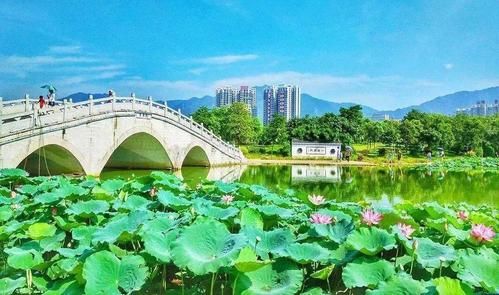 清远旅游景点大全(你想去哪里放松身心)