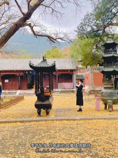 灵岩寺攻略(  灵岩寺附近有什么好吃的)