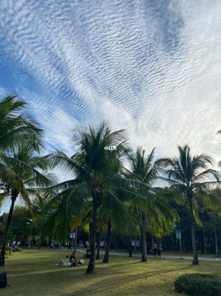 海南今天的天气情况(海边适合玩水吗)