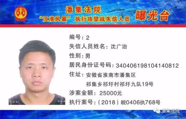 淮南潘集老赖名单明细(他们欠了多少钱)