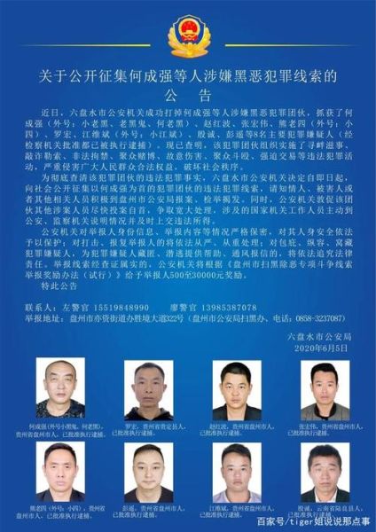 贵定县公安局(有哪些信息可以查询)