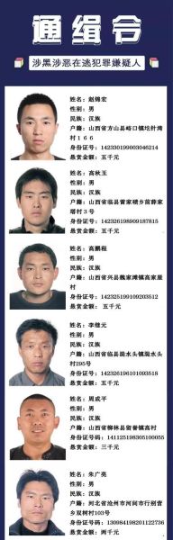 鞍山扫黑除恶名单列表(他们为何被列入名单)