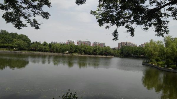 驿城区六月份天气(适合户外活动吗)