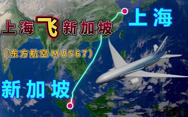 上海到新加坡旅游(上海飞新加坡哪个航空公司最好)