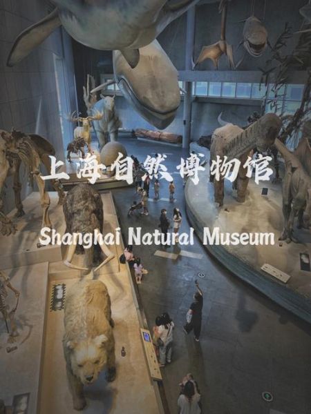 上海自然博物馆攻略(有哪些必看展区)