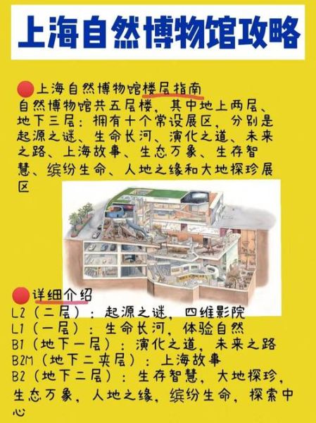 上海自然博物馆攻略(有哪些必看展区)