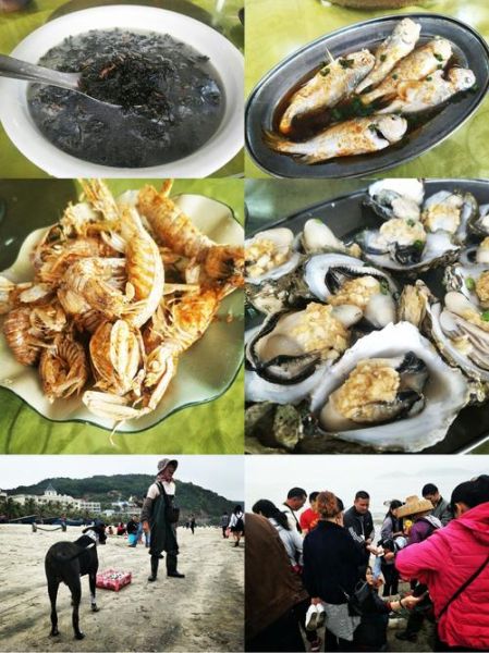 下川岛好玩吗(海鲜真的便宜吗)