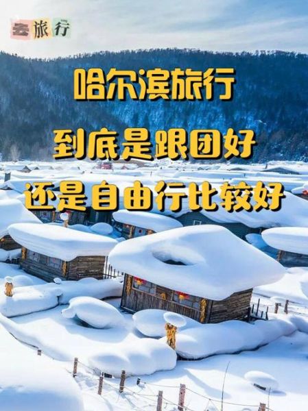 中国旅游团( 还是自由行更精彩)
