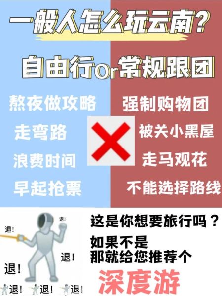 中国旅游团( 还是自由行更精彩)