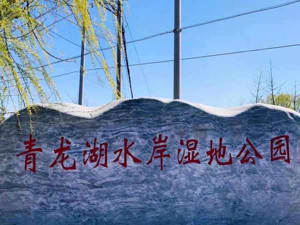 北京青龙湖公园(适合全家人出游吗)