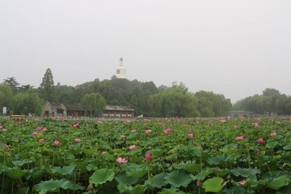 北海公园(还有哪些景点值得一看)