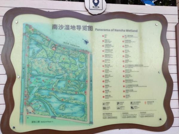 南沙湿地(  怎么才能轻松抵达)