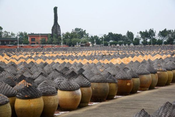 厦门古龙酱文化园(厦门古龙酱文化园值得去吗)