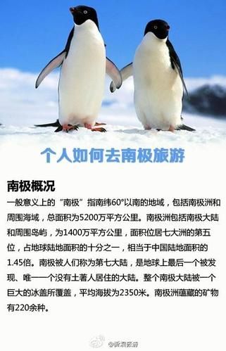 去南极旅游(  南极旅游有哪些注意事项)