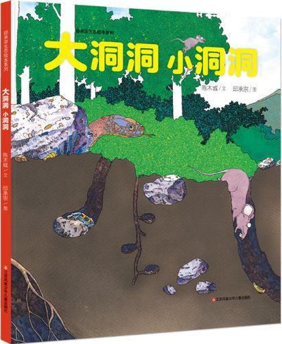 大小洞天(到底有什么故事可以讲)