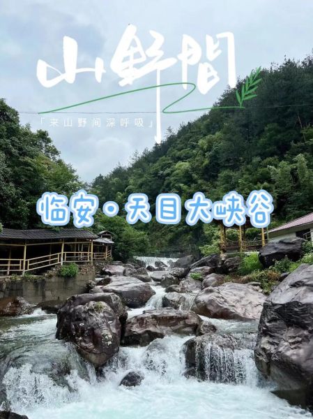 天目山大峡谷(有哪些隐藏玩法)