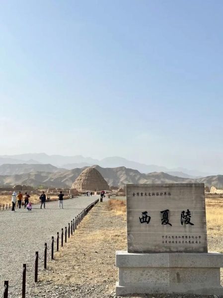 宁夏西夏王陵(为何被称为东方金字塔)