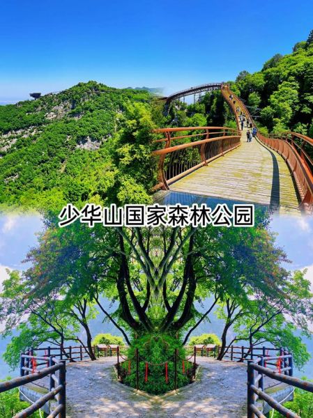 少华山国家森林公园(你更想体验哪个)