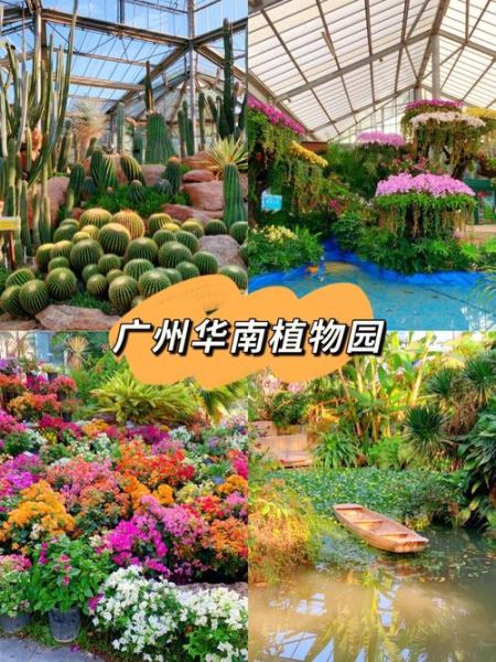 广州华南植物园好玩吗(里面有哪些观赏区)