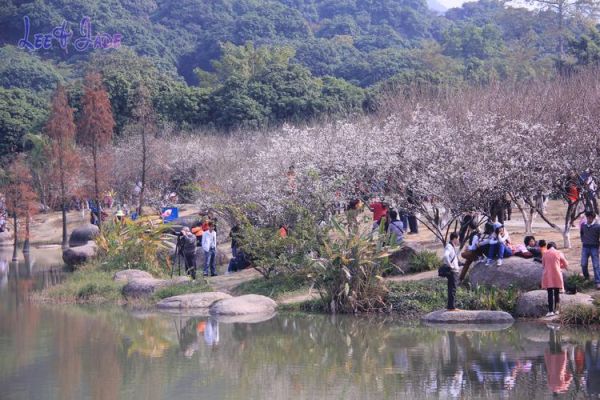 广州萝岗香雪公园(萝岗香雪公园值得一去吗)