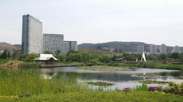 月亮湾公园(有什么遮阴的地方吗)
