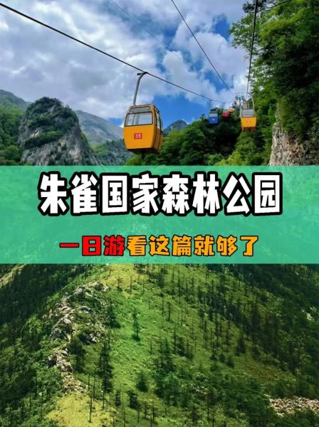 朱雀国家森林公园(怎么玩最合适)