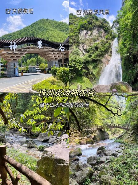 株洲神农谷(还有哪些值得体验的)