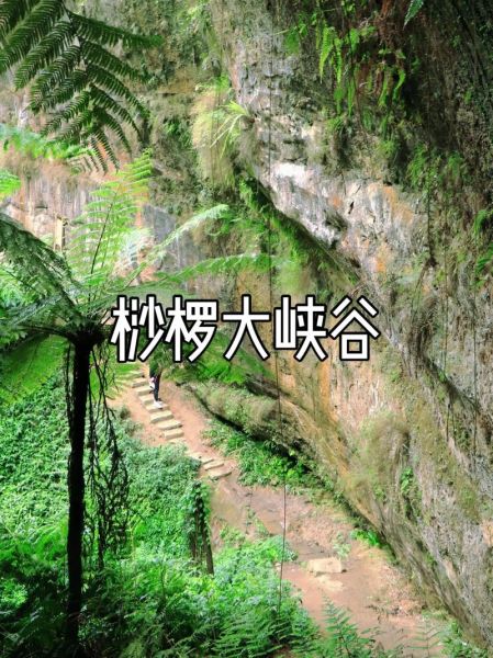 桫椤峡谷(你去探险了吗)