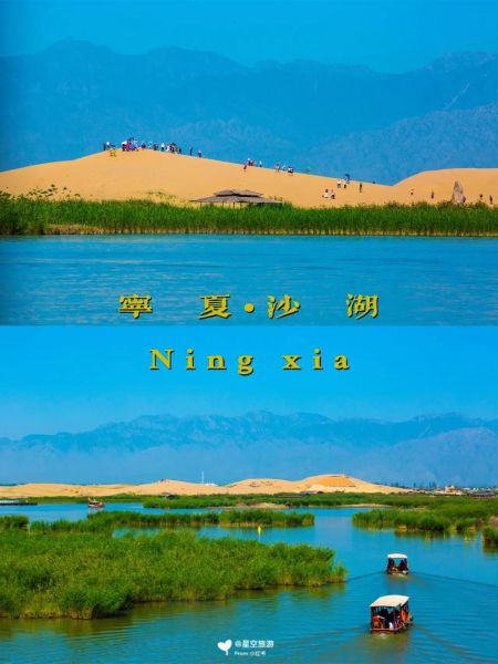 沙湖旅游攻略(当地人推荐去哪里吃)