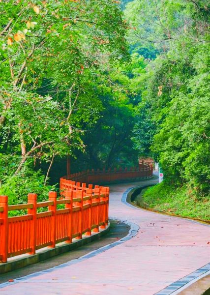 深圳凤凰山(绿道风景怎么样)