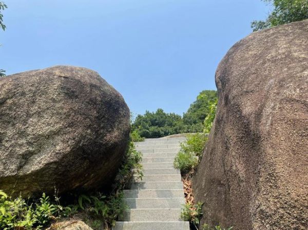 深圳凤凰山(绿道风景怎么样)