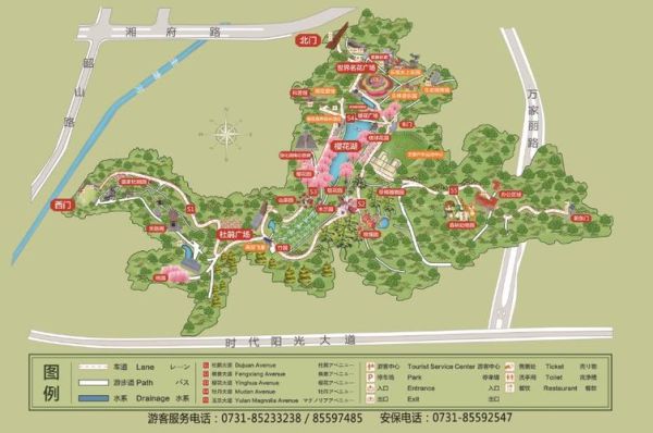 湖南省森林植物园(怎么去比较好)
