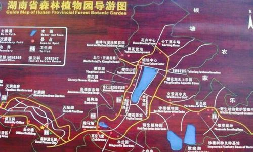 湖南省森林植物园(怎么去比较好)