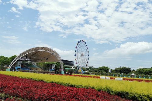 百万葵园好玩吗( 里面好玩吗)