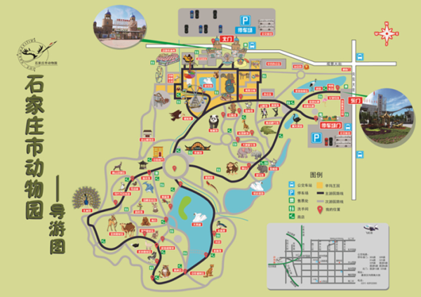 石家庄动物园(怎么去最方便)