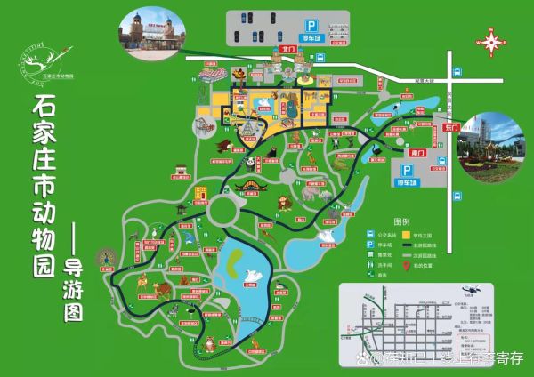 石家庄动物园(怎么去最方便)