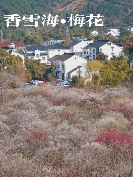苏州香雪海(有什么季节限定活动)