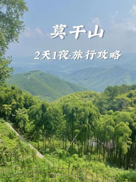 莫干山在哪(哪里性价比高)
