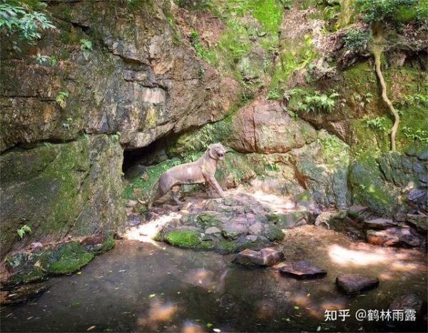 虎跑梦泉(还是人文奇迹)