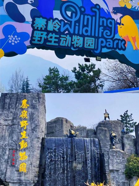 西安秦岭野生动物园官网(怎么才能买票)