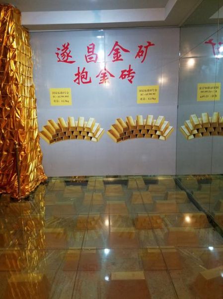 遂昌金矿(要准备些什么呢)