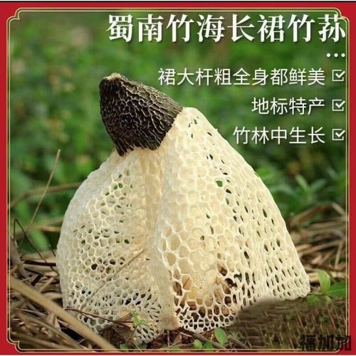 长宁蜀南竹海(哪些特产值得买回家)