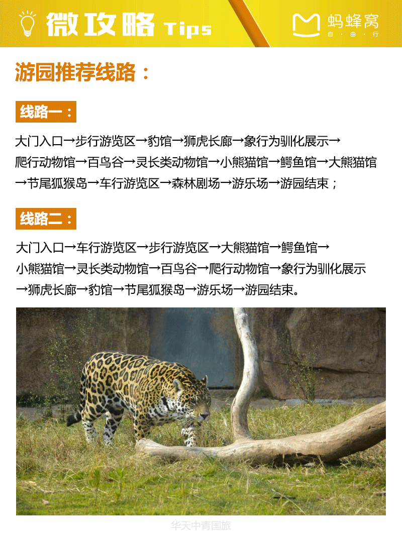 长沙新动物园(哪些项目最适合你呢)