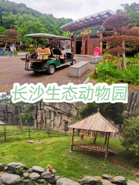 长沙新动物园(哪些项目最适合你呢)