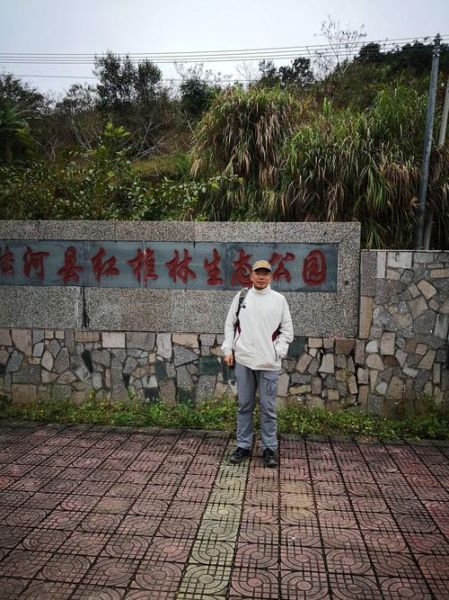 陆河旅游景点大全(还是去南万红椎林体验生态)
